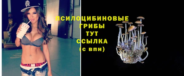 прущий лед Елабуга