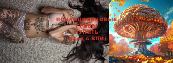 прущий лед Елабуга