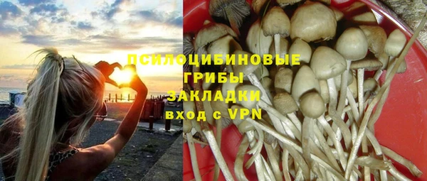 не бодяженный Елизово