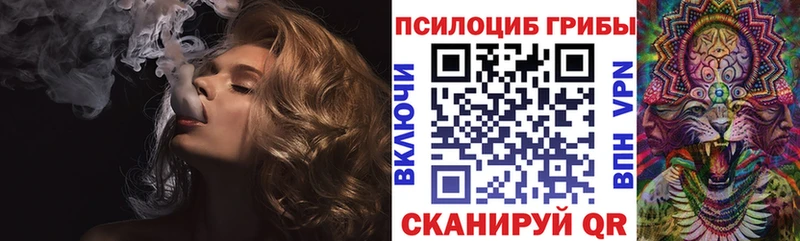 Купить  Сафоново  Псилоцибиновые грибы ЛСД 